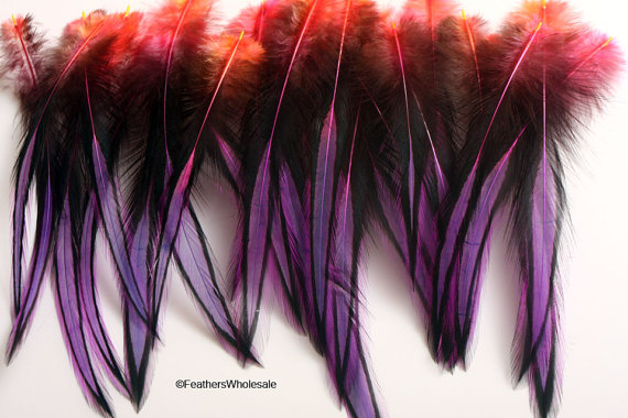 purple and red feathers